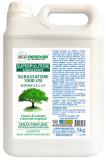 01a - SUPERPULITORE VEGETALE SENZA PROFUMO